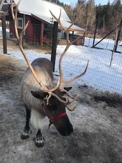 holiday events